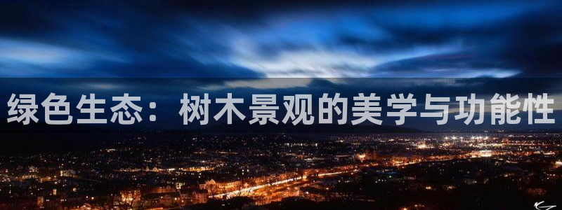 摩根国际娱乐宝