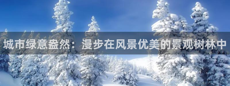 亚瑟摩根娱乐的地方