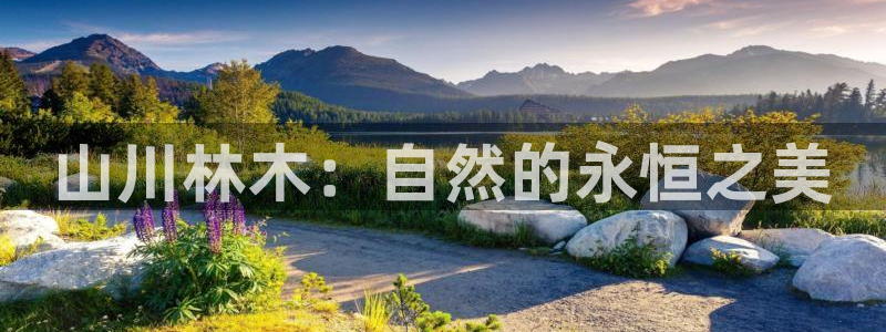 摩根娱乐是什么意思