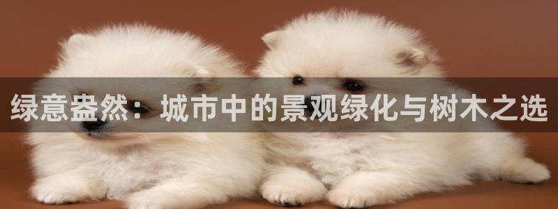 摩根娱乐开户 总s管50015