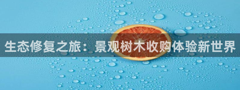 摩根 娱乐宝诈骗