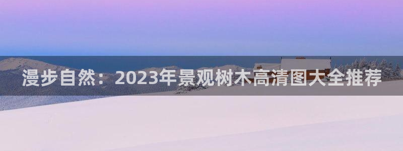 摩根国际娱乐宝合法吗