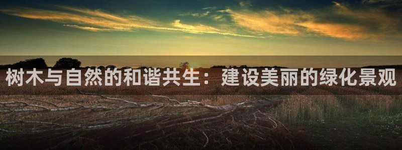 摩根娱乐官网下载