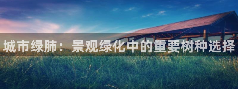 泉州摩根娱乐会所地址