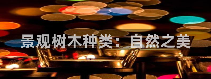 摩根娱乐宝机怎么玩