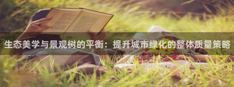 亚瑟摩根娱乐的地方