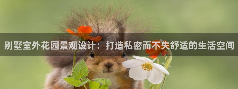 摩根士丹利凯撒娱乐：别墅室外花园景观设计：打造私密而不失舒适的生活空间