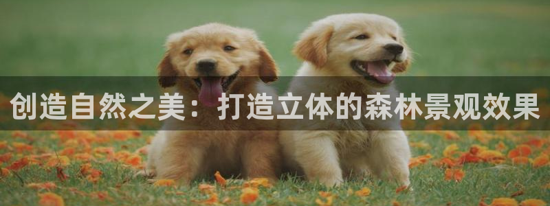 摩根娱乐金光：创造自然之美：打造立体的森林景观效果