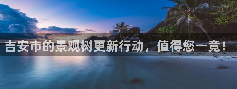 摩根娱乐宝口碑