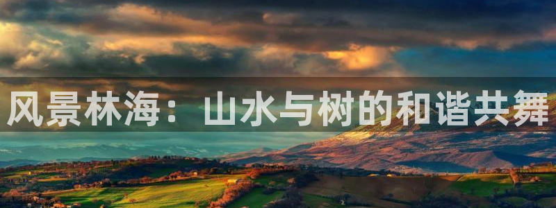 摩根娱乐宝打不开