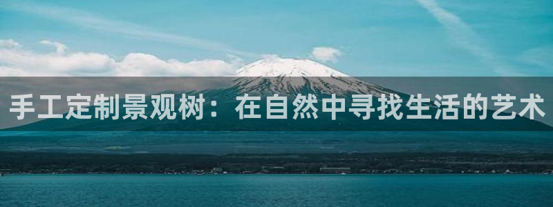 泉州摩根会娱乐张桂花