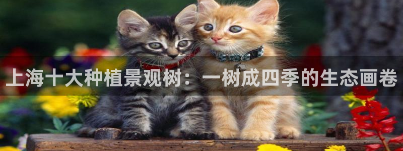 义乌市摩根娱乐厅