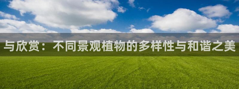 白宫摩根娱乐地址