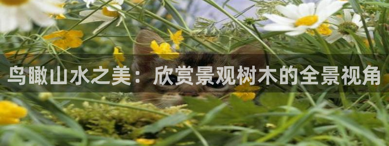 义乌摩根娱乐会所公主