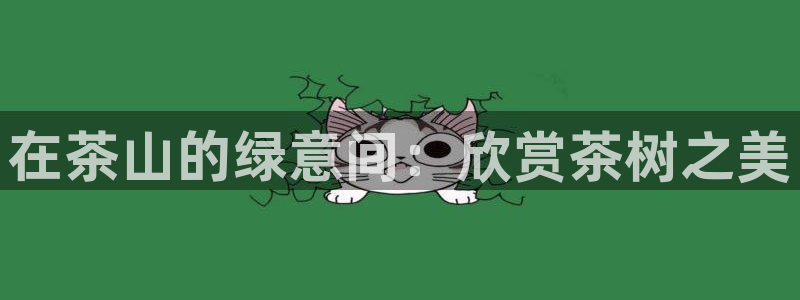 泉州摩根娱乐会所电话多少