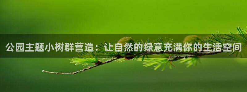 摩根娱乐宝的代理方式