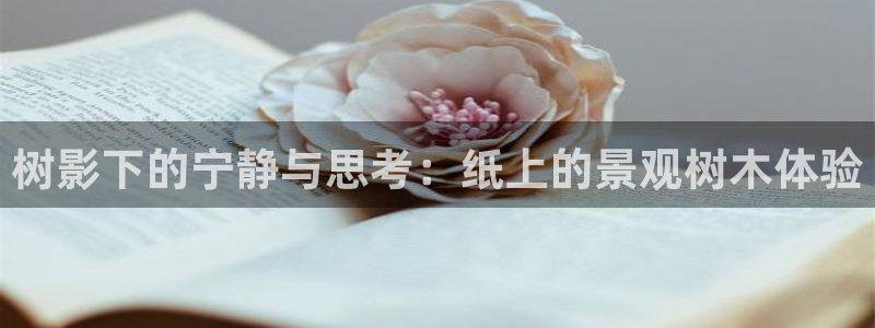 摩根娱乐宝官网百度