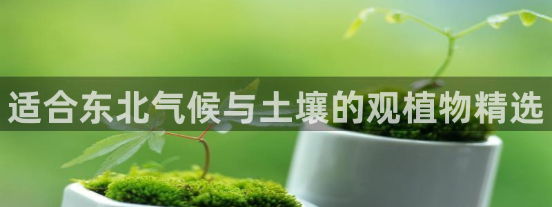 摩根娱乐宝怎么下载