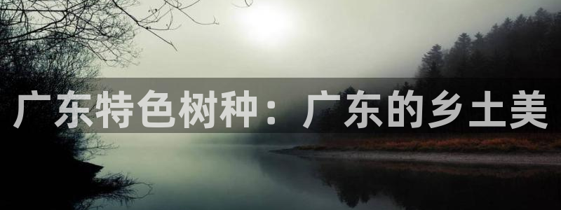 摩根娱乐宝怎么赚钱