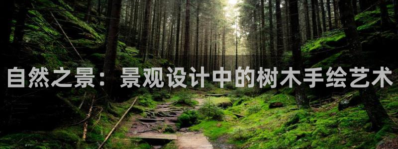 摩根娱乐宝怎么赚钱