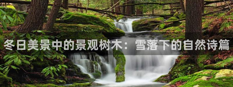 摩根娱乐宝 怎么样