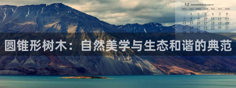 泉州白宫摩根娱乐会所