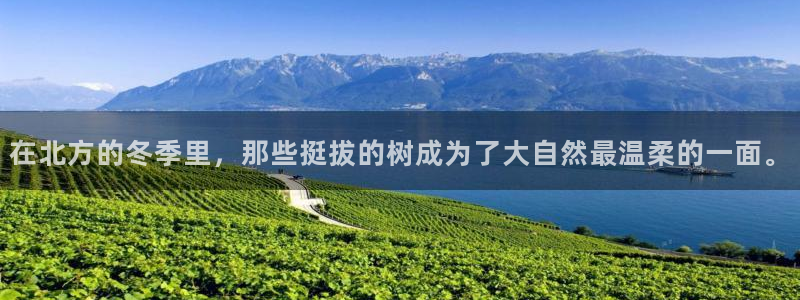 摩根娱乐L老L板50820