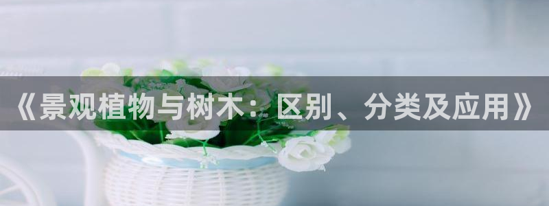 义乌市摩根娱乐会所招聘