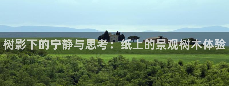 首页摩根娱乐：树影下的宁静与思考：纸上的景观树木体验