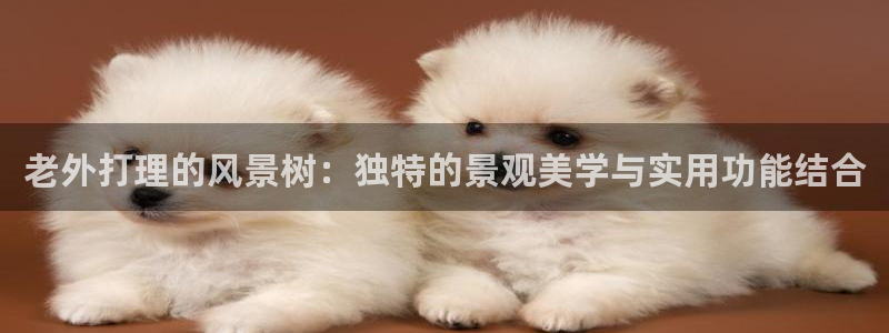 摩根娱乐宝打不开