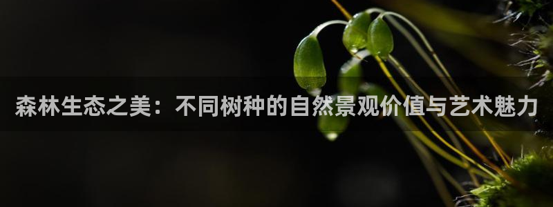 摩根娱乐视频大全