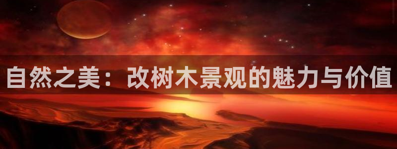 摩根娱乐宝代理