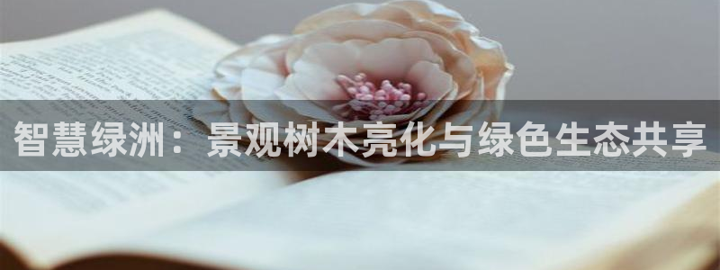 摩根娱乐50186