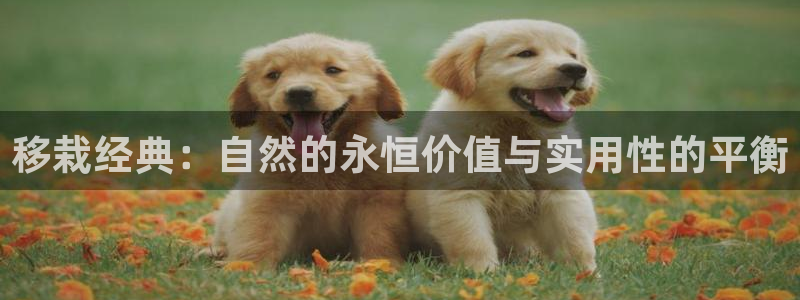 摩根大通投资娱乐公司