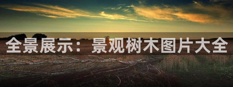 摩根娱乐电玩