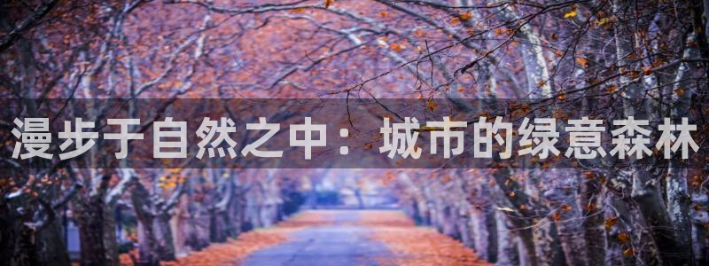 摩根娱乐宝总部招商