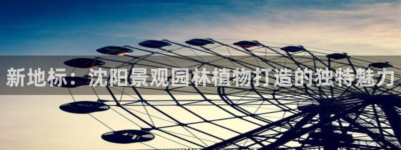摩根娱乐宝官网百度
