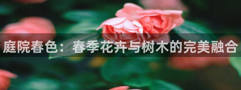 首页摩根娱乐平台：庭院春色：春季花卉与树木的完美融合