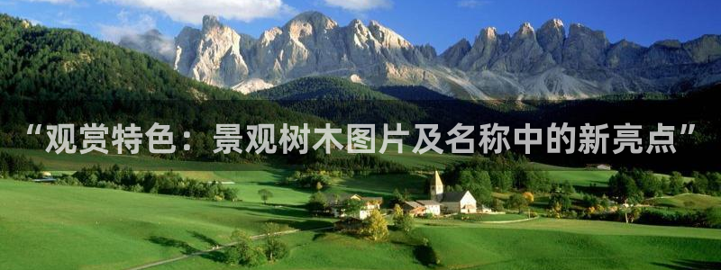 摩根 娱乐宝骗了我