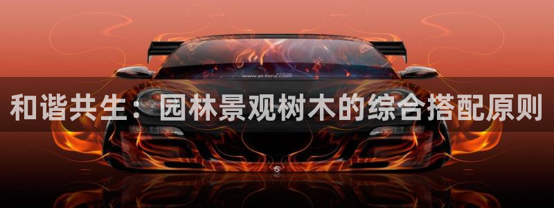 武汉摩根众睿娱乐
