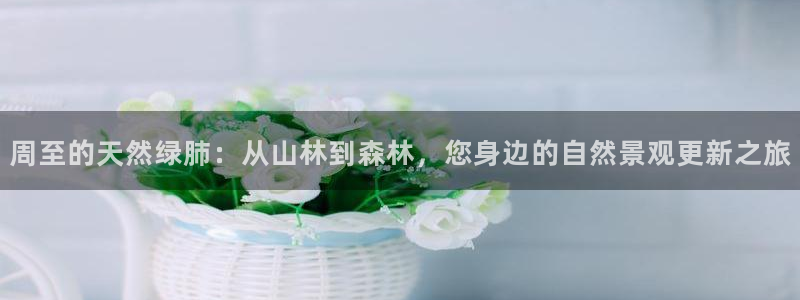 摩根娱乐注册：周至的天然绿肺：从山林到森林，您身边的自然景观更新之旅