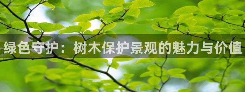 摩根娱乐宝 怎么样：绿色守护：树木保护景观的魅力与价值