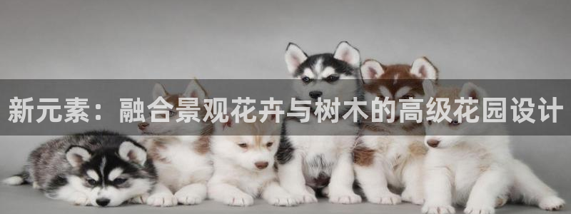 泉州摩根会娱乐保安招聘
