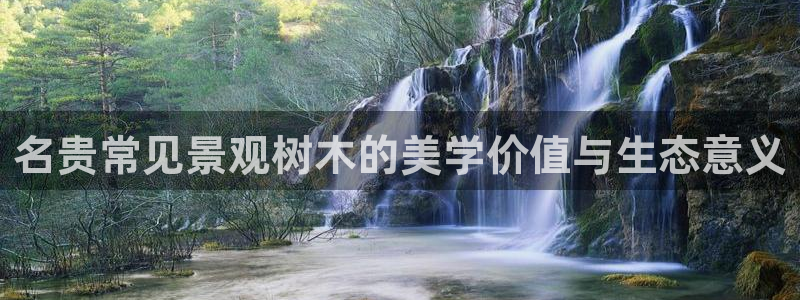 摩根娱乐宝老上不去啊