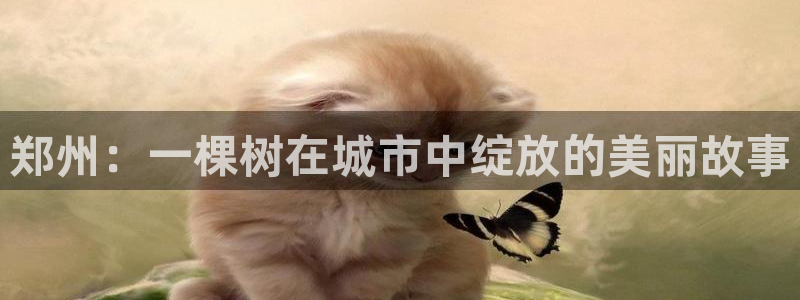 泉州摩根娱乐会所电话号码