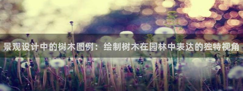 摩根娱乐宝吧