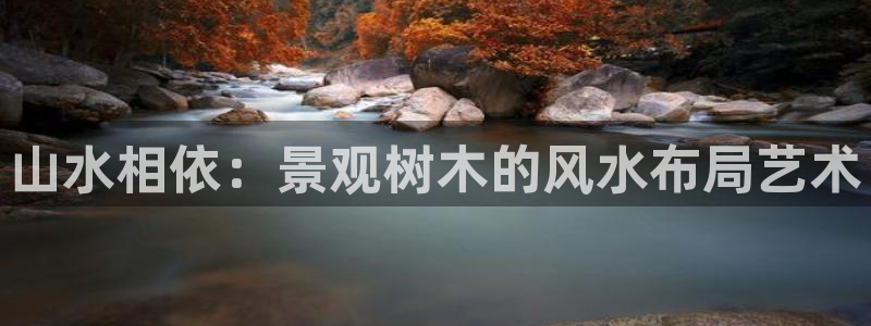 摩根娱乐宝招商