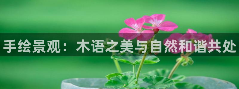 摩根会娱乐有限公司