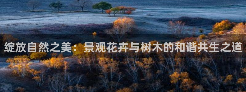 下载摩根国际娱乐宝