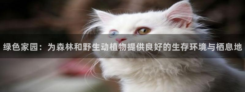 摩根娱乐宝是什么意思